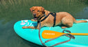 mascotte peddel surfplank